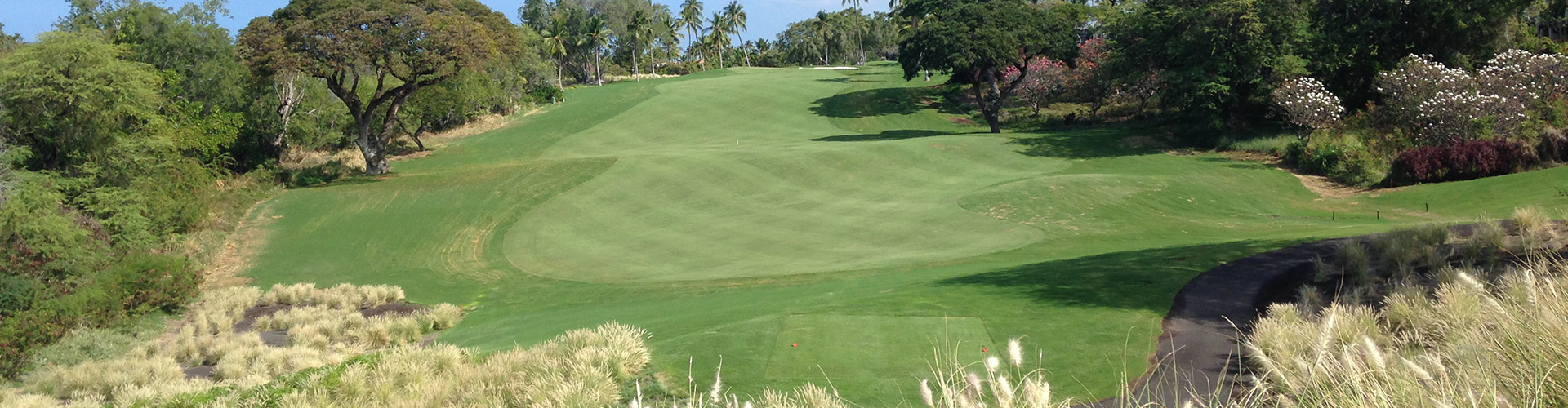 golf course green